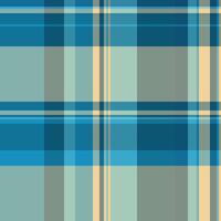 Intricate pattern check tartan, sky seamless plaid. 50s background textile texture fabric in cyan and pastel colors. vector