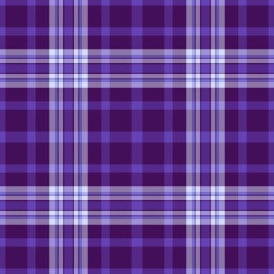 Back to school background plaid , rich seamless fabric check. Deep tartan pattern texture textile in indigo and violet colors.