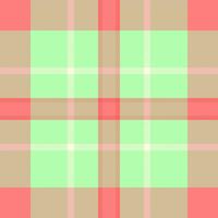 Vibrant pastel plaid pattern in springlike colors. Ideal for textile design, website backgrounds, or crafting projects. This cheerful, repeating texture evokes feelings of freshness and optimism. vector