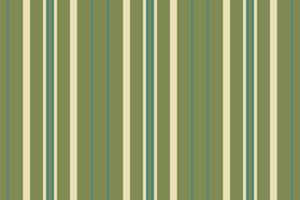 Repeat seamless vertical stripe, diwali textile fabric . Attire texture lines pattern background in lime and light colors. vector