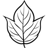 A leaf outline on a white background vector