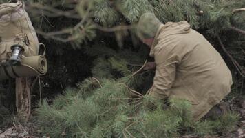 Man Building a Survival Shelter in the Forest, A man constructs a bushcraft shelter using branches and pine in the forest. video