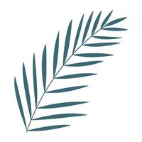 Palm leaf simple flat element isolated on transparent background for design. vector
