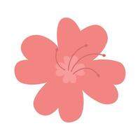 Hibiscus tropical flower in simple flat style in pink color. Isolated element on transparent background. vector