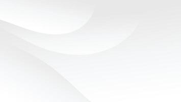 abstract white background with smooth decorative swirl lines flowing vector