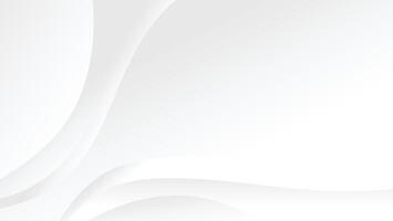 abstract white background with smooth swirl lines decoration vector
