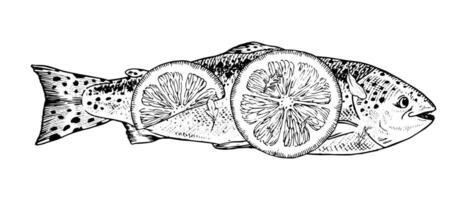 illustration of a rainbow trout in a hand drawn, black and white line art style. Includes elements like lemon slices for a fresh seafood composition. For restaurant menus, culinary designs vector