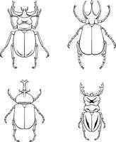 beetle line art illustration vector