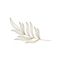 branch leaf botanical gold design line style vector