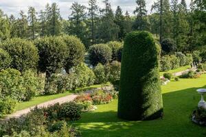 Exploring the lush gardens of Catherine Palace in Tsarskoye Selo during a sunny day photo