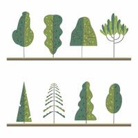 Set of different cartoon trees. Garden and forest tree in a flat design illustration vector
