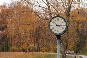 Classic clock in a park surrounded by autumn foliage during the golden hour of early evening photo