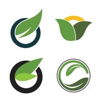 Green leaf Ecology set vector