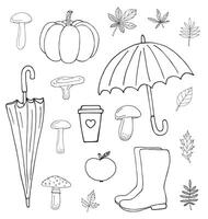 Set of hand drawn sketch autumn elements isolated on white background vector
