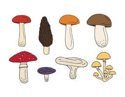 Set bundle of hand drawn doodle sketch mushroom isolated vector