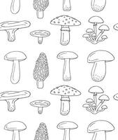 Seamless pattern of hand drawn doodle sketch mushroom vector