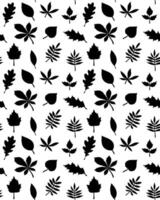 Seamless pattern of doodle sketch leaves vector