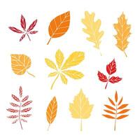 Set bundle of different color hand drawn doodle sketch leaves isolated on white background vector