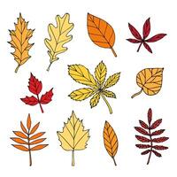 Set bundle of different color hand drawn doodle sketch leaves isolated vector