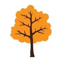 Hand drawn sketch tree vector