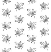 Seamless pattern of hand drawn doodle sketch chestnut leaf vector