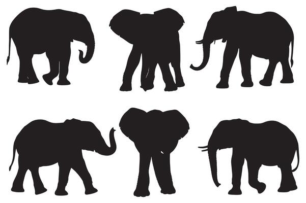 Elephant silhouette collection