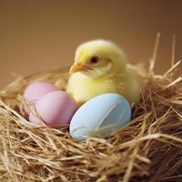A baby chick is sitting in a nest with three eggs photo