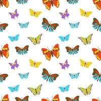Different colorful butterflies seamless pattern vector