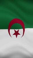 Algeria Waving Flag in Vertical Orientation. Realistic Flag Animation. Seamless Loop Background. video