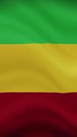 Mali Waving Flag in Vertical Orientation. Realistic Flag Animation. Seamless Loop Background. video