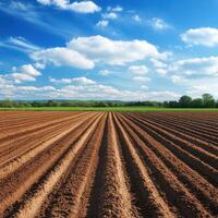 Plowed farm field under blue sky photo