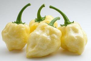 Habanero peppers arranged on a white background photo
