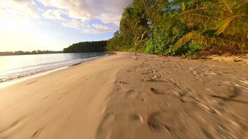 FPV drone flying low over tropical beach with golden sand, palm trees, and ocean waves at sunset on remote island in Thailand. Ideal for travel, freedom, and summer nature themes. video
