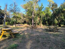 Relaxing picnic area surrounded by lush trees on a sunny afternoon in a serene park setting photo