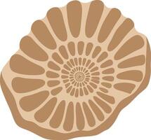 Fossilized ammonite shell spiral pattern illustration in beige and brown tones design for natural history and geology art vector