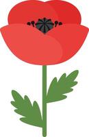 Red poppy flower illustration with green leaves and stem isolated on white background vector