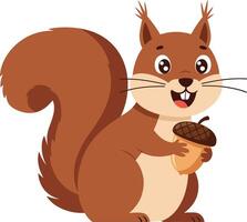 Squirrel holding acorn cartoon character with bushy tail and happy expression illustration vector