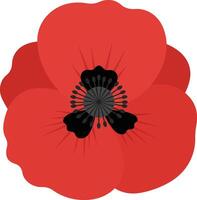 Red poppy flower illustration with black center and simple design for nature and floral themes vector