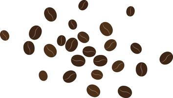 Coffee beans scattered illustration with brown colors on white background for beverage design and lifestyle concepts vector