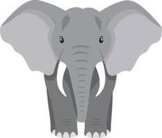 Elephant front view illustration with large ears and tusks in grey colors natural style vector