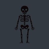 Human skeleton illustration with black bones on dark gray background in simple flat style graphic vector