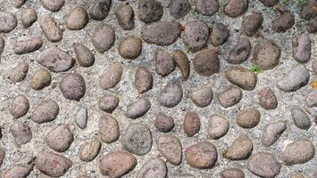 Textured pebbles create a natural mosaic on a pathway in a serene garden during a sunny afternoon photo