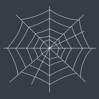 Spider web illustration with white lines on dark square background for nature and design projects vector
