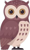 Owl illustration with brown and beige feathers standing on white background in simple flat design style vector