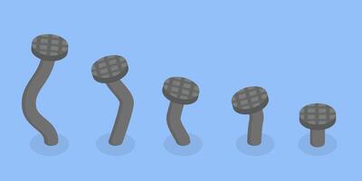 3D Isometric Flat Illustration of From Beginner to Skilled Expert, Skill Level vector