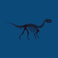 Dinosaur skeleton illustration with dark blue background natural history and prehistoric fossil outline design vector