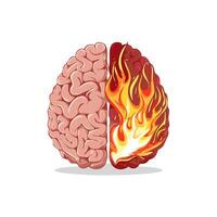view one side of the brain is burning, the other side is bright with creative ideas vector