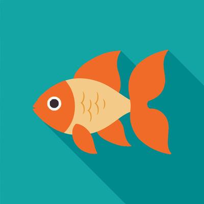 Basic Goldfish Pet Icon
