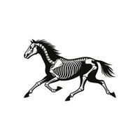 Dynamic Silhouette Illustration of a Running Horse Skeleton vector
