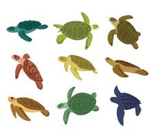A charming collection of turtle illustrations in various swimming poses and angles. Ideal for ocean-themed designs, marine life visuals, educational content, and aquatic decor vector